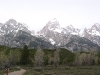 Yellowstone National Park 047